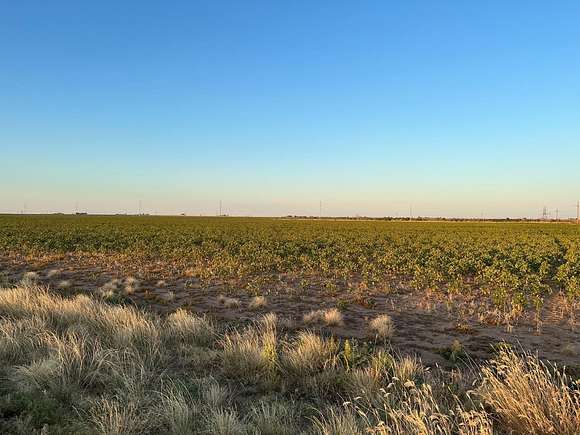 10 Acres of Land for Sale in Lubbock, Texas