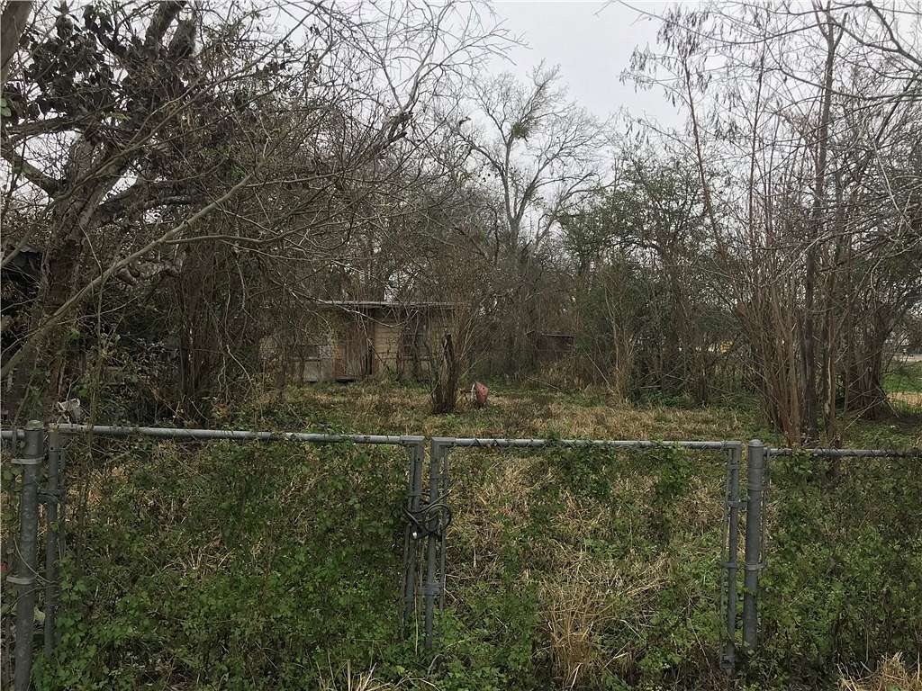 Land for Sale in Alice, Texas