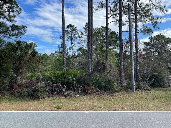 2 Acres of Residential Land for Sale in Eustis, Florida