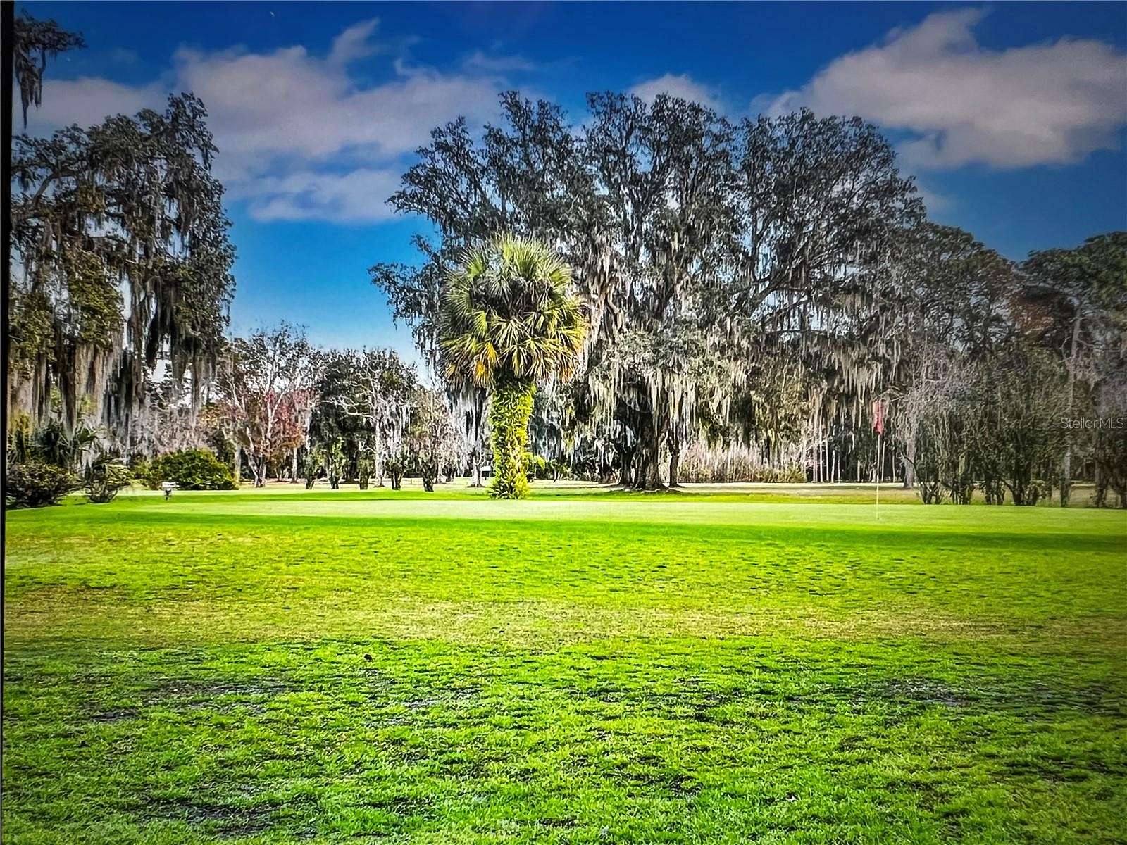 0.21 Acres of Residential Land for Sale in Crescent City, Florida