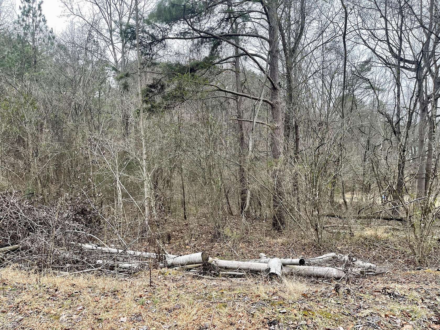 1.8 Acres of Residential Land for Sale in Parrottsville, Tennessee