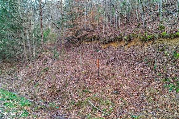 10.9 Acres of Recreational Land for Sale in Mooresburg, Tennessee