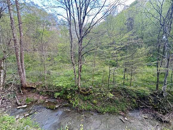 6 Acres of Land for Sale in Waynesburg, Kentucky