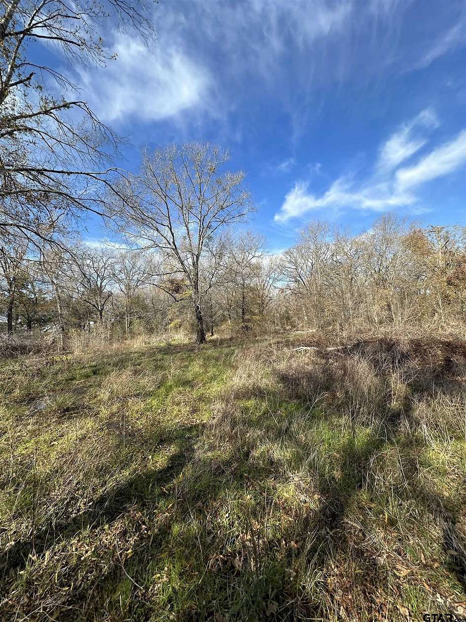 5 Acres of Land for Sale in Palestine, Texas