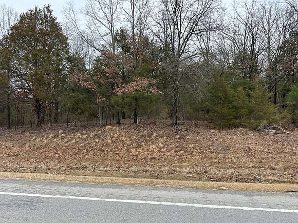 3 Acres of Mixed-Use Land for Sale in Cave City, Arkansas