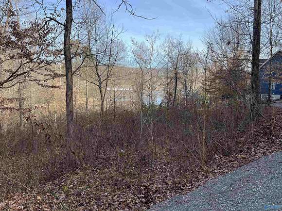 0.9 Acres of Residential Land for Sale in Scottsboro, Alabama