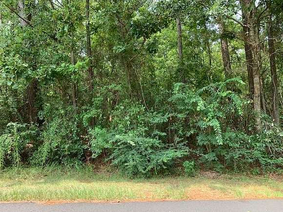 0.34 Acres of Residential Land for Sale in Carriere, Mississippi