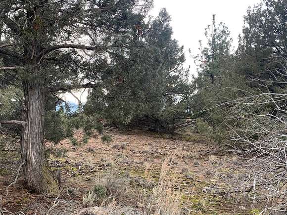 0.26 Acres of Residential Land for Sale in Weed, California