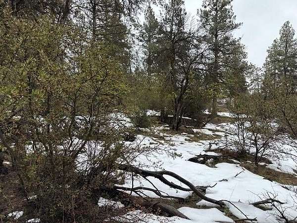 2.55 Acres of Residential Land for Sale in Bonanza, Oregon