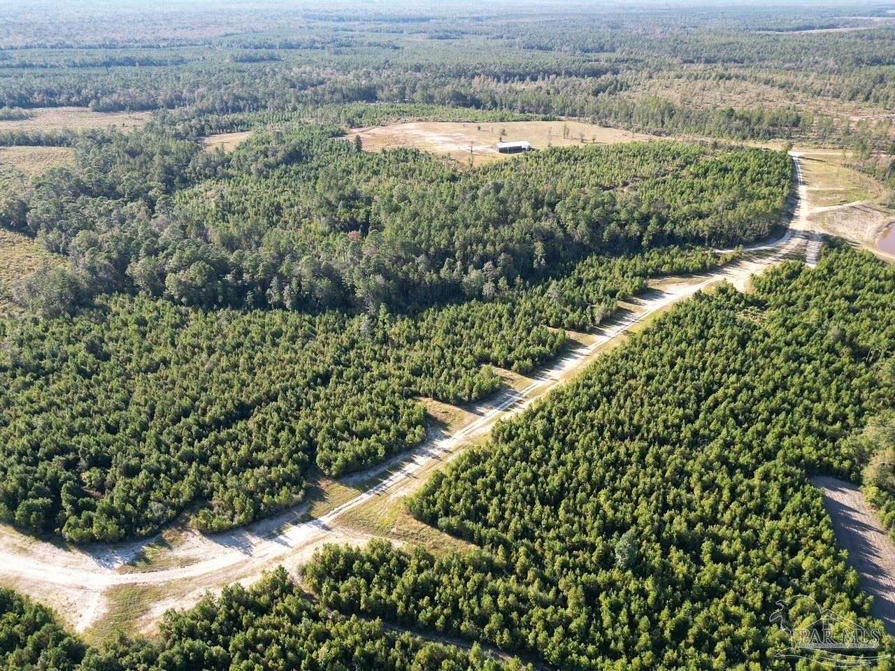 30 Acres of Land for Sale in Pace, Florida
