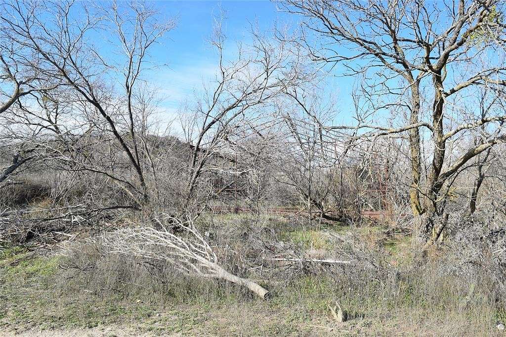 0.36 Acres of Land for Sale in Santa Anna, Texas