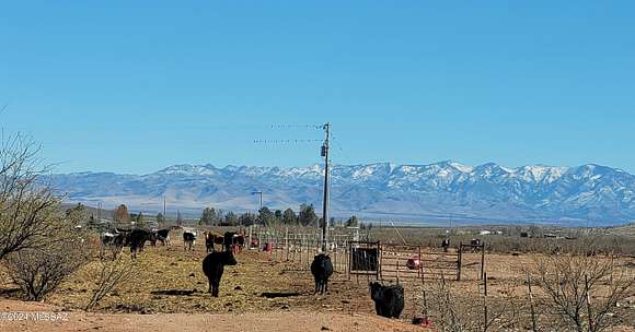 40 Acres of Land for Sale in Pearce, Arizona