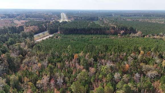 11.3 Acres of Land for Sale in Manning, South Carolina