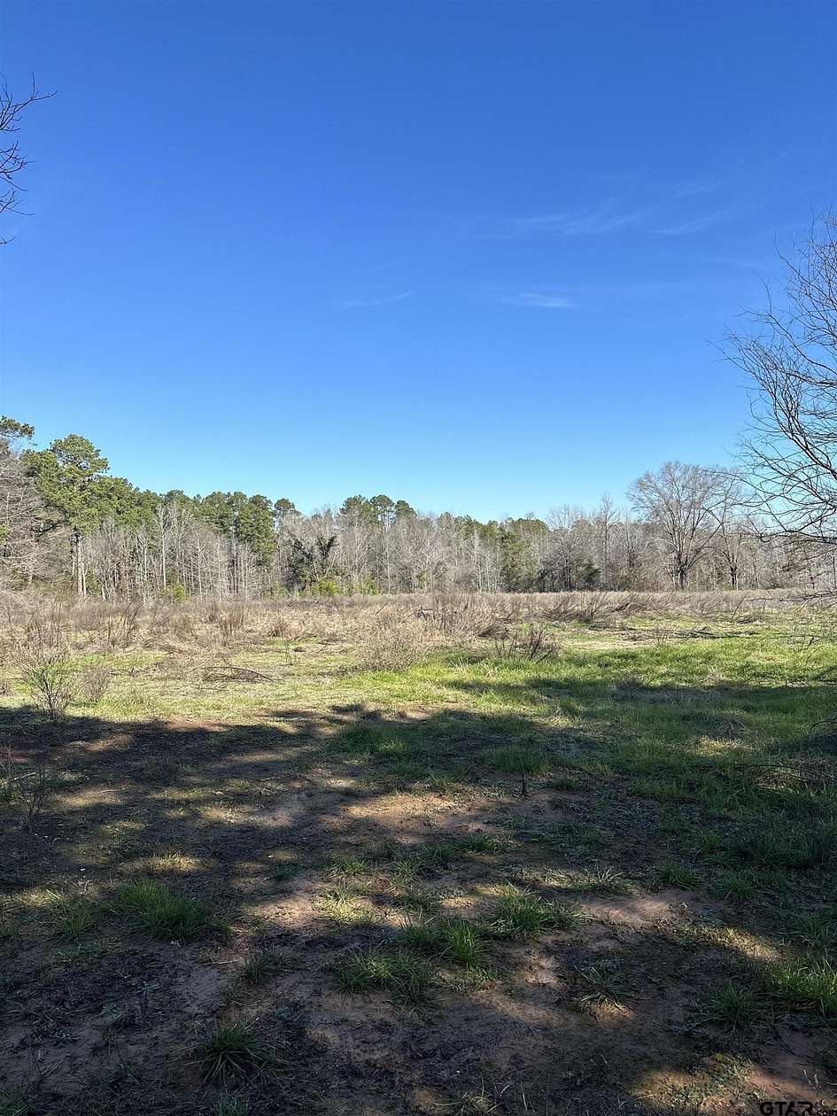 44 Acres of Land for Sale in Palestine, Texas