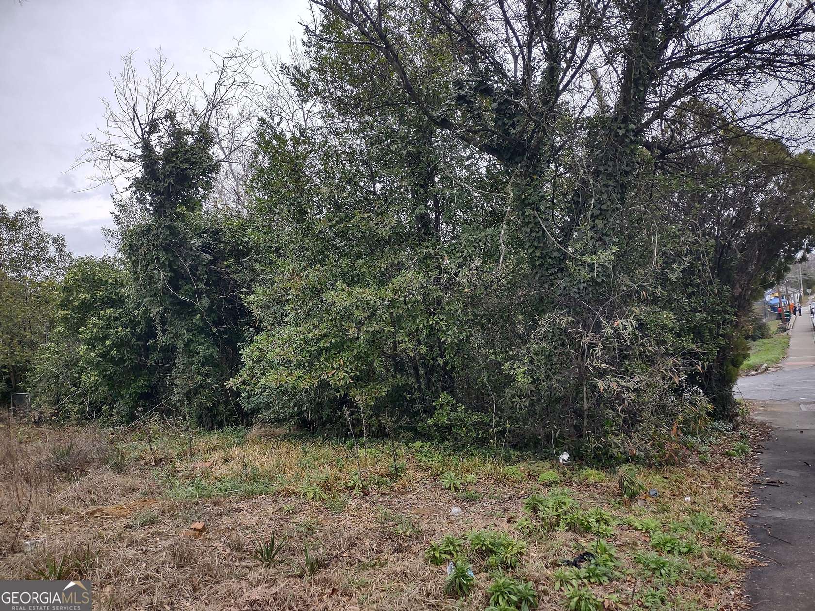 0.06 Acres of Residential Land for Sale in Macon, Georgia