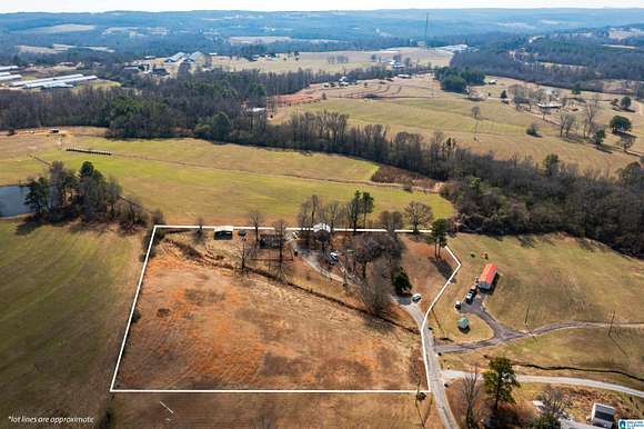 4 Acres of Residential Land with Home for Sale in Oneonta, Alabama