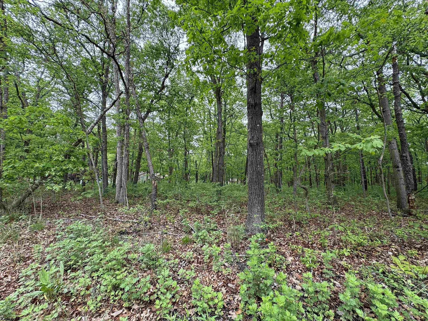 1.2 Acres of Residential Land for Sale in Galloway, New Jersey