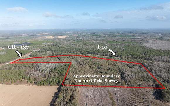 47.2 Acres of Commercial Land for Sale in Live Oak, Florida