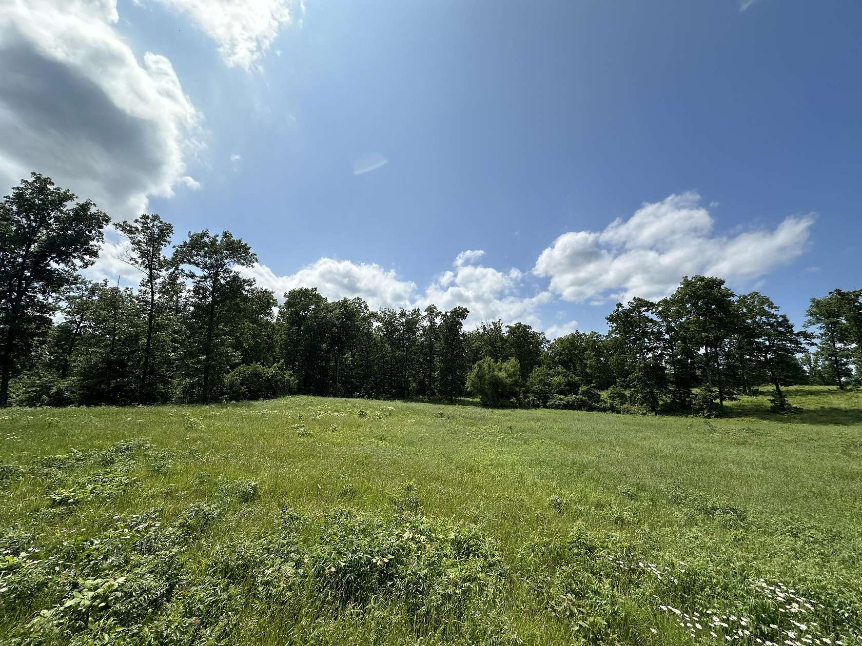 50.8 Acres of Recreational Land for Sale in Norwood, Missouri