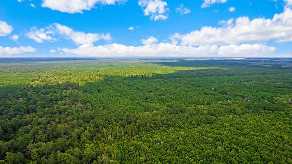 51 Acres of Recreational Land for Sale in Buna, Texas