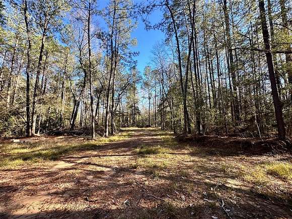 12.4 Acres of Recreational Land for Sale in Saratoga, Texas