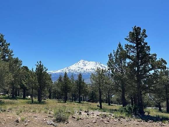 0.71 Acres of Residential Land for Sale in Weed, California