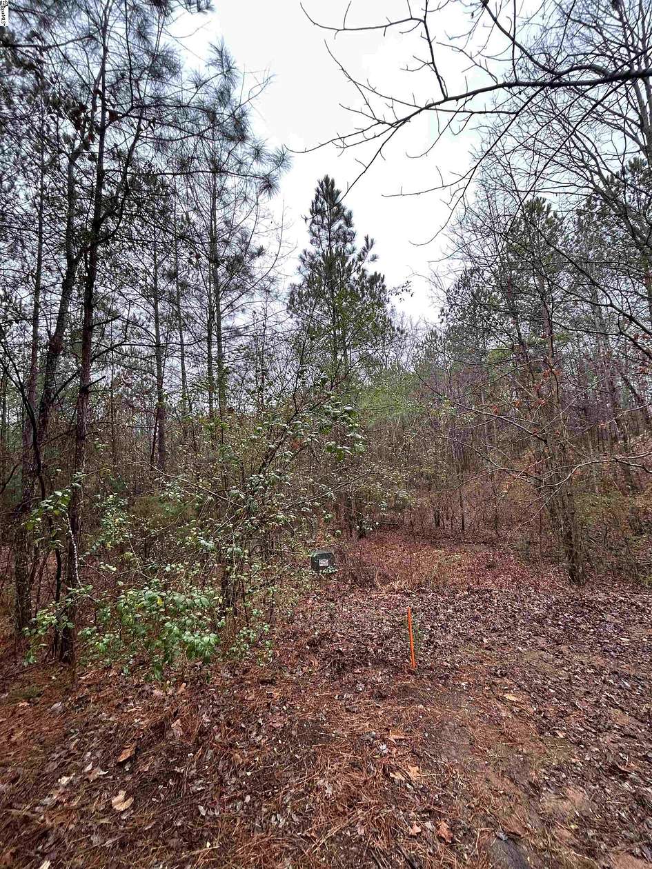 0.58 Acres of Residential Land for Sale in Six Mile, South Carolina