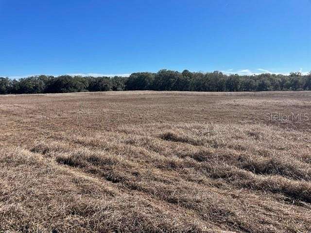 11.1 Acres of Agricultural Land for Sale in Dunnellon, Florida