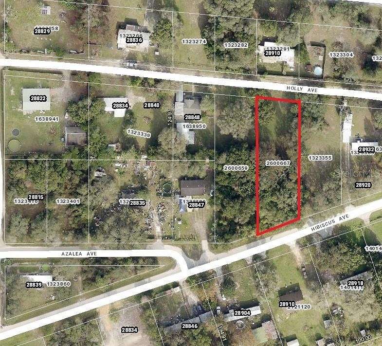 0.39 Acres of Residential Land for Sale in Paisley, Florida