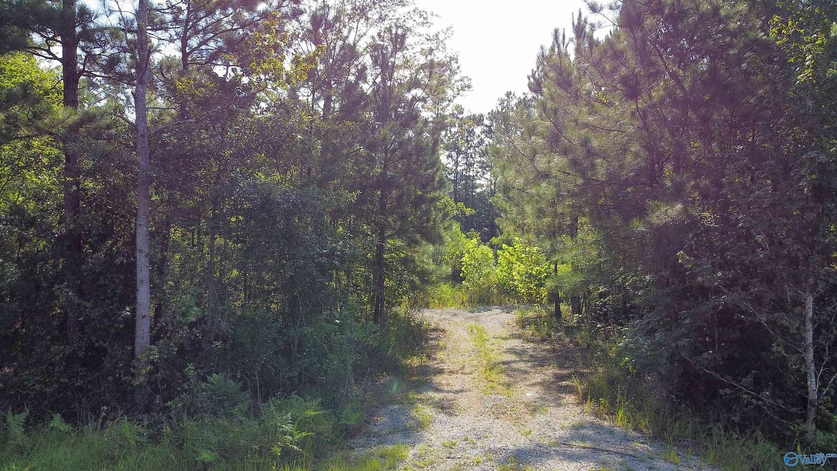 0.45 Acres of Residential Land for Sale in Rainbow City, Alabama
