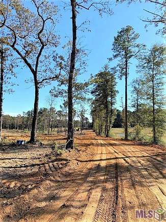 5.8 Acres of Land for Sale in Clinton, Louisiana