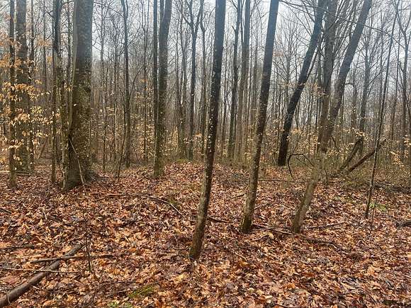 9.1 Acres of Residential Land for Sale in Byrdstown, Tennessee