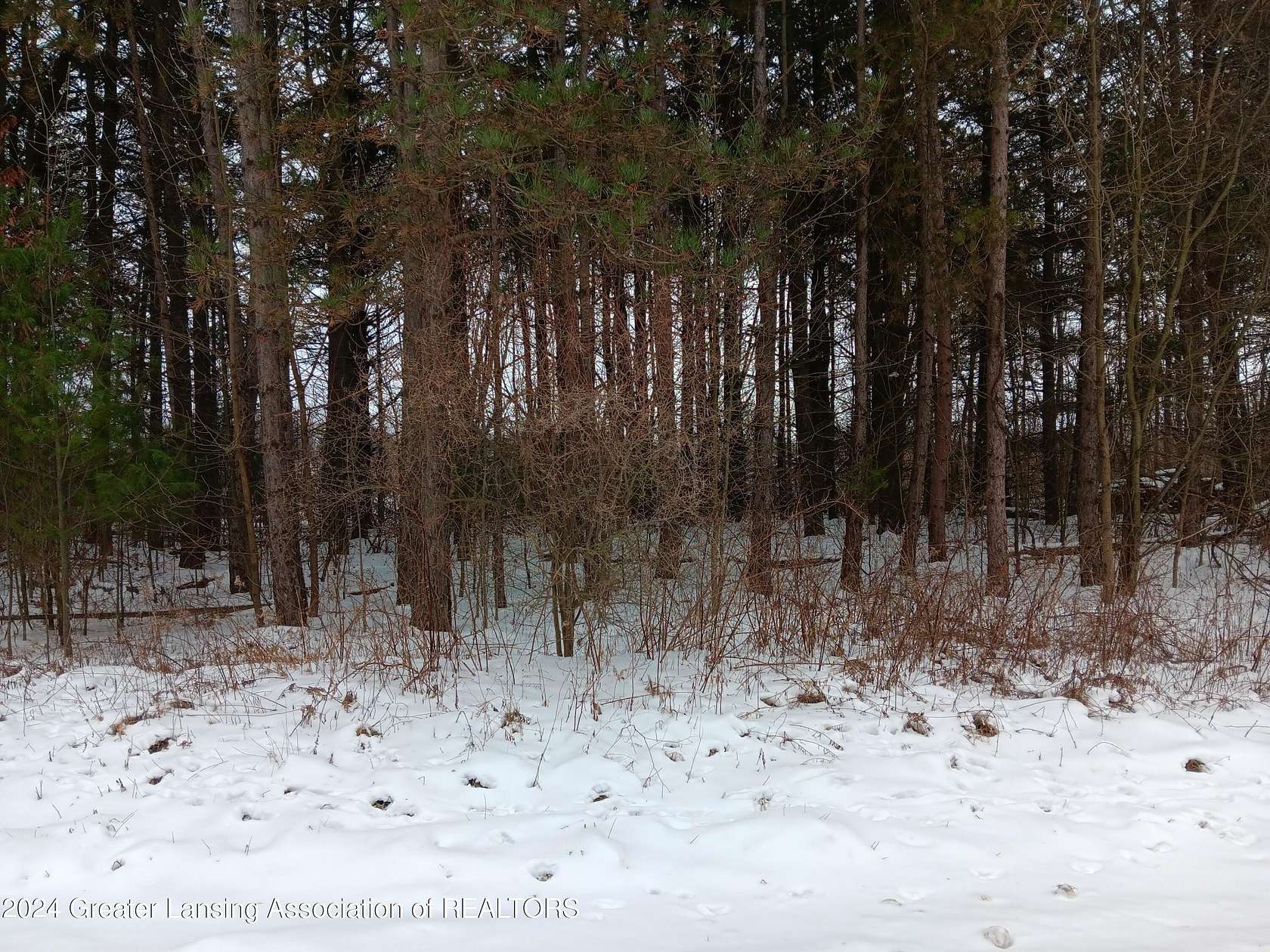 Land for Sale in Perry, Michigan