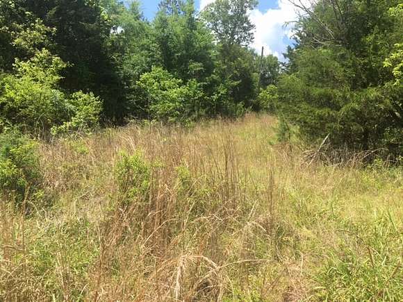8 Acres of Land for Sale in Calico Rock, Arkansas
