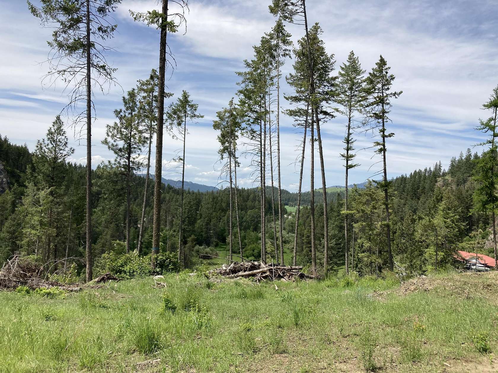 8.4 Acres of Land for Sale in Colville, Washington