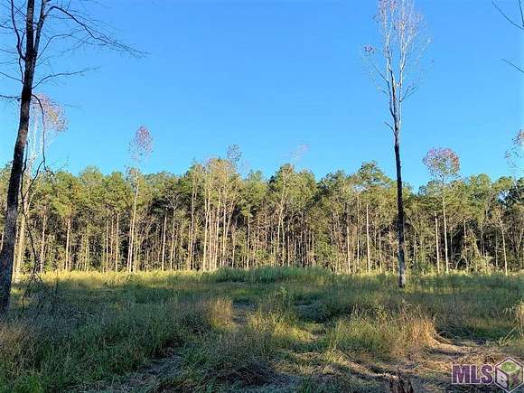 3.7 Acres of Residential Land for Sale in Clinton, Louisiana