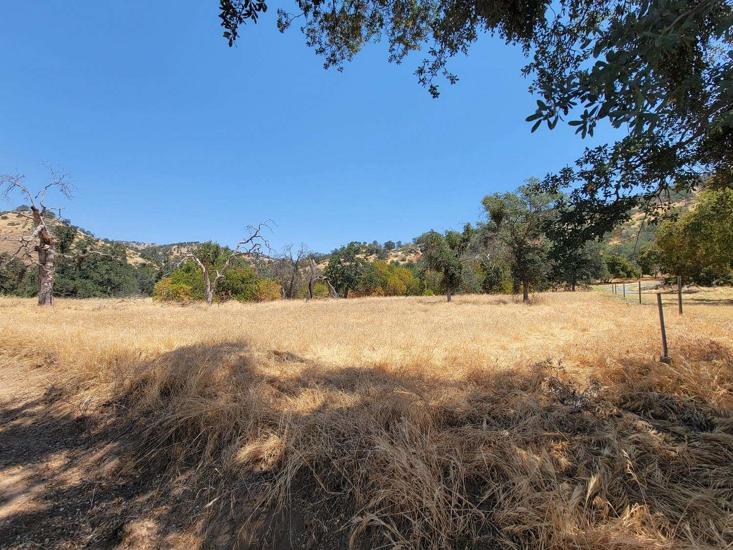 5 Acres of Residential Land for Sale in Squaw Valley, California