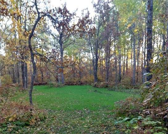 75 Acres of Land for Sale in Shevlin, Minnesota