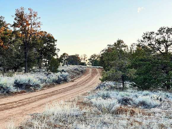 12 Acres of Recreational Land for Sale in Pinehill, New Mexico