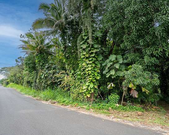 1 Acre of Residential Land for Sale in Keaau, Hawaii