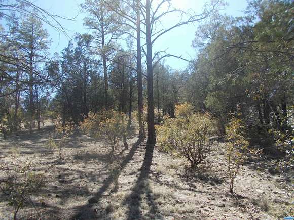 9.17 Acres of Agricultural Land for Sale in Mimbres, New Mexico