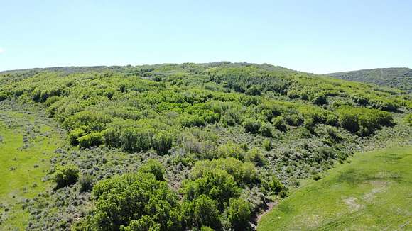 245 Acres of Recreational Land for Sale in Hayden, Colorado