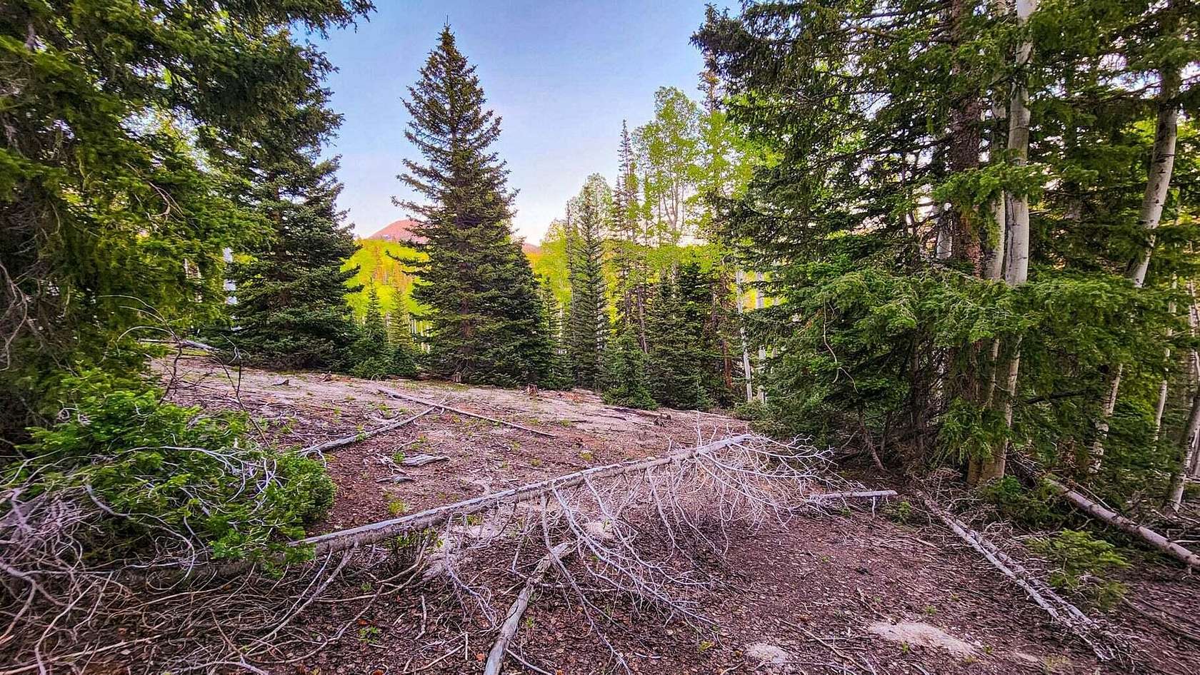 0.63 Acres of Residential Land for Sale in Beaver, Utah