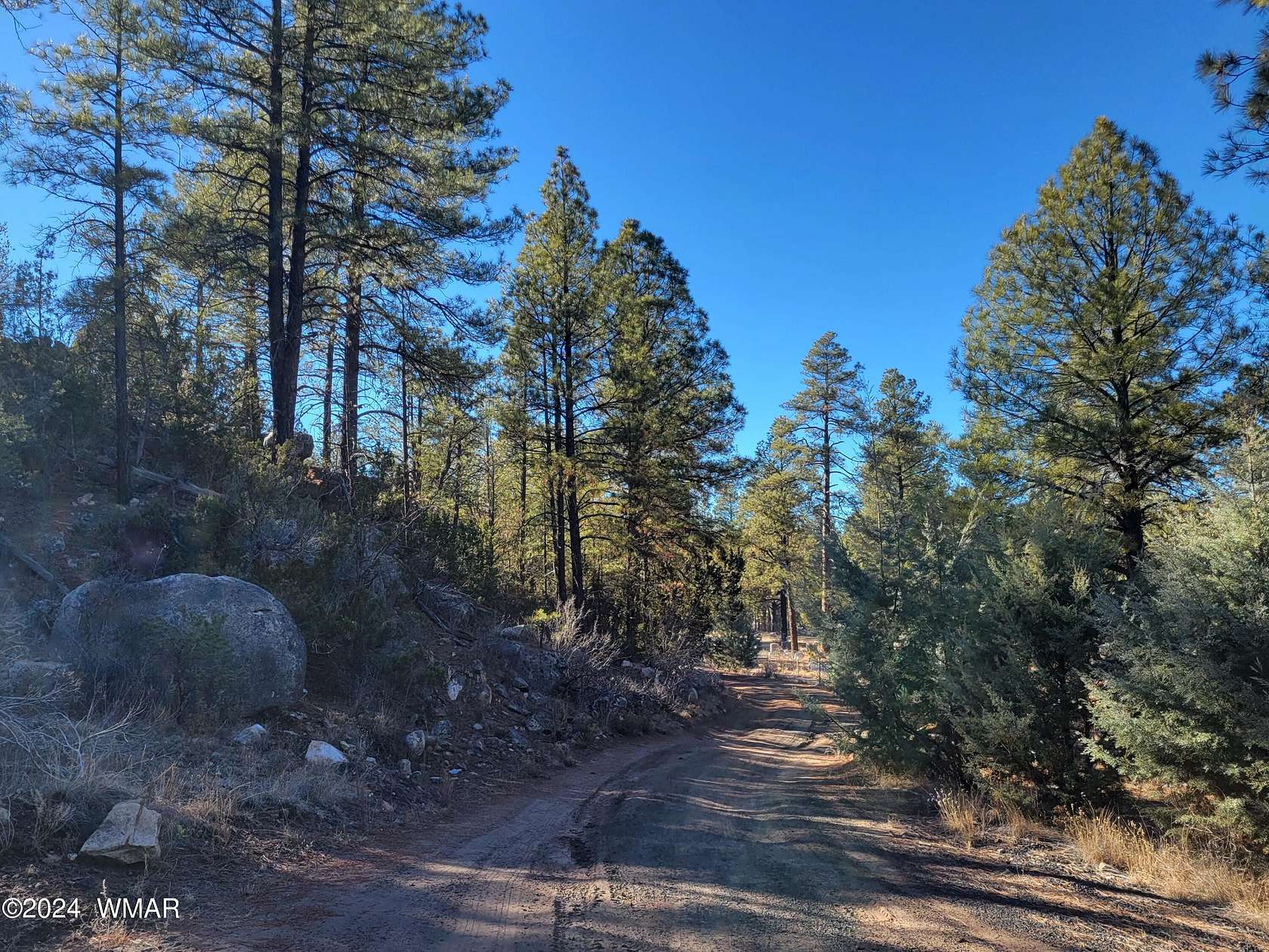 21.4 Acres of Land for Sale in Heber, Arizona