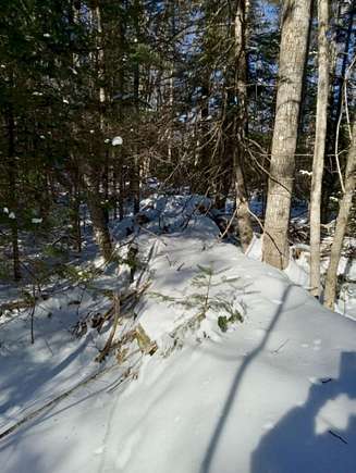 7 Acres of Residential Land for Sale in Stetson, Maine