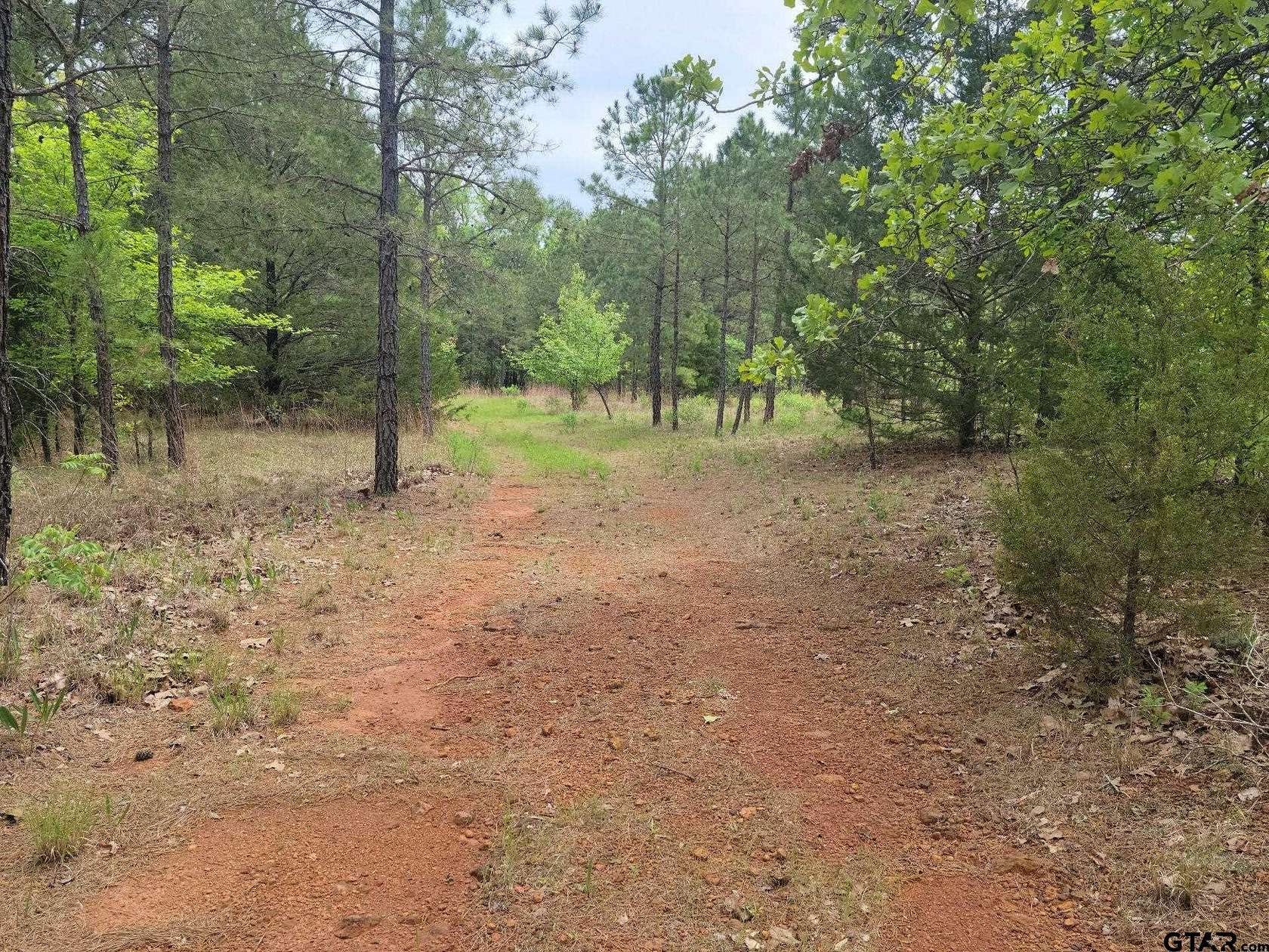 32 Acres of Land for Sale in Hughes Springs, Texas