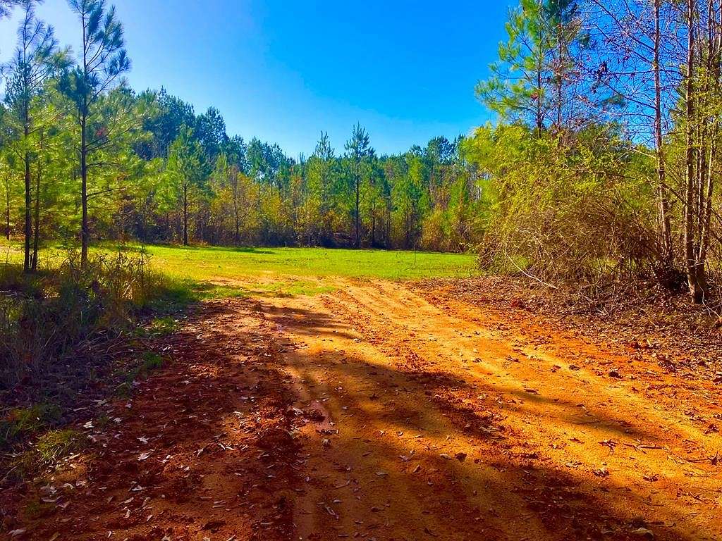 6.2 Acres of Residential Land for Sale in Bogue Chitto, Mississippi
