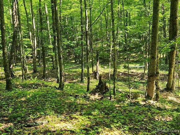 58 Acres of Recreational Land for Sale in Crystal Falls, Michigan