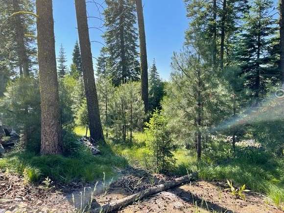 0.39 Acres of Land for Sale in McCall, Idaho