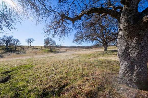 4.55 Acres of Residential Land for Sale in Red Bluff, California